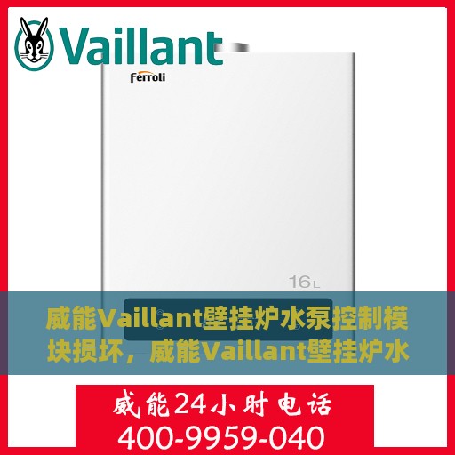 威能Vaillant壁挂炉水泵控制模块损坏，威能Vaillant壁挂炉水泵控制模块故障解析与修复指南