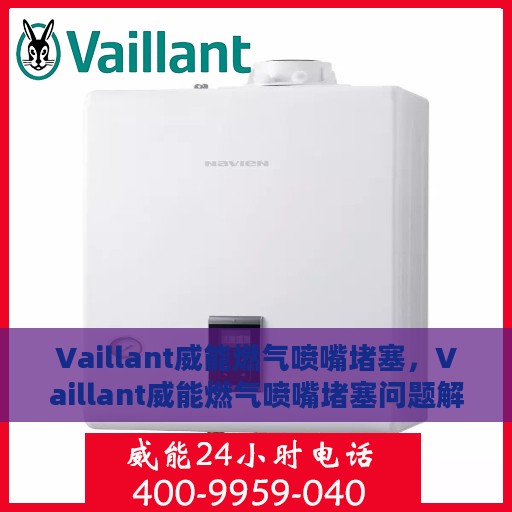 Vaillant威能燃气喷嘴堵塞，Vaillant威能燃气喷嘴堵塞问题解析与处理指南