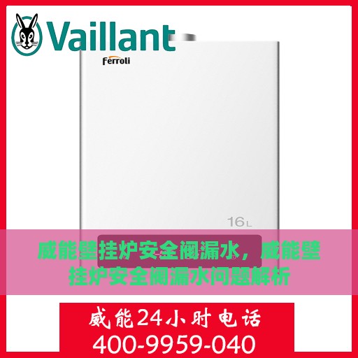 威能壁挂炉安全阀漏水，威能壁挂炉安全阀漏水问题解析