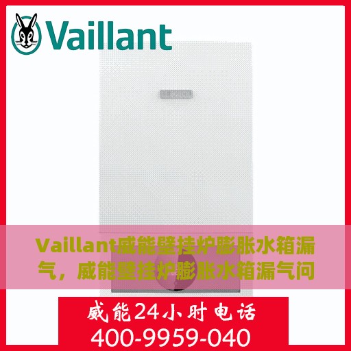 Vaillant威能壁挂炉膨胀水箱漏气，威能壁挂炉膨胀水箱漏气问题及解决方案探讨