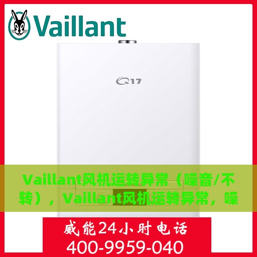 Vaillant风机运转异常（噪音/不转），Vaillant风机运转异常，噪音问题详解与故障排除指南