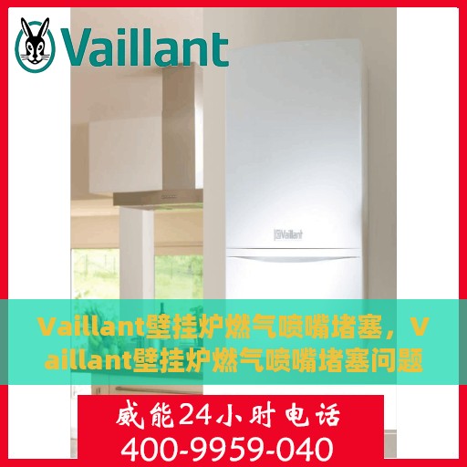 Vaillant壁挂炉燃气喷嘴堵塞，Vaillant壁挂炉燃气喷嘴堵塞问题解析与解决方案