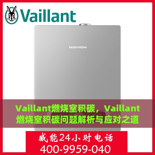 Vaillant燃烧室积碳，Vaillant燃烧室积碳问题解析与应对之道