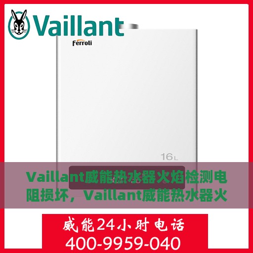 Vaillant威能热水器火焰检测电阻损坏，Vaillant威能热水器火焰检测电阻故障解析与应对之策