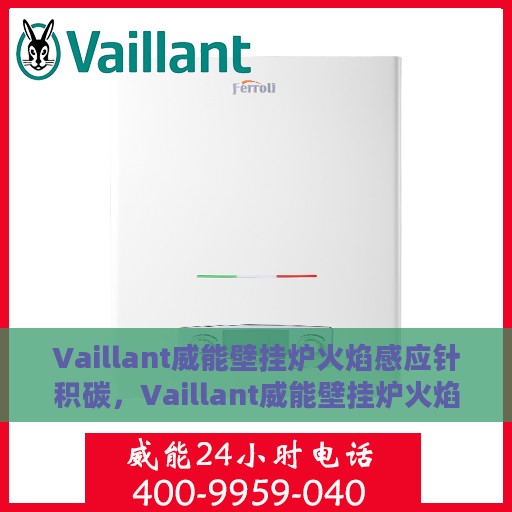 Vaillant威能壁挂炉火焰感应针积碳，Vaillant威能壁挂炉火焰感应针积碳问题解析与处理指南