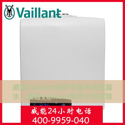 威能Vaillant锅炉水泵卡死或漏水，威能Vaillant锅炉水泵故障解析，卡死与漏水问题探讨