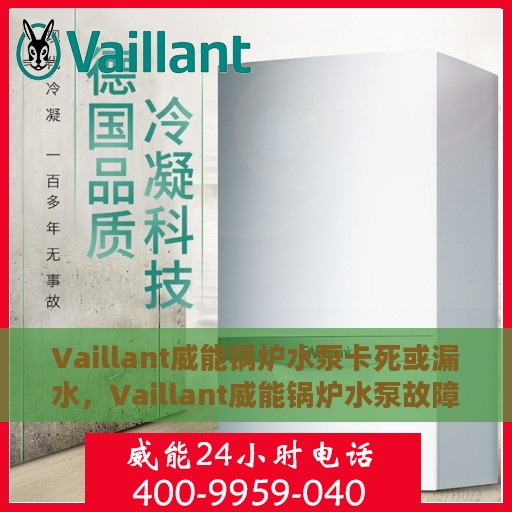 Vaillant威能锅炉水泵卡死或漏水，Vaillant威能锅炉水泵故障解析，卡死与漏水问题探讨
