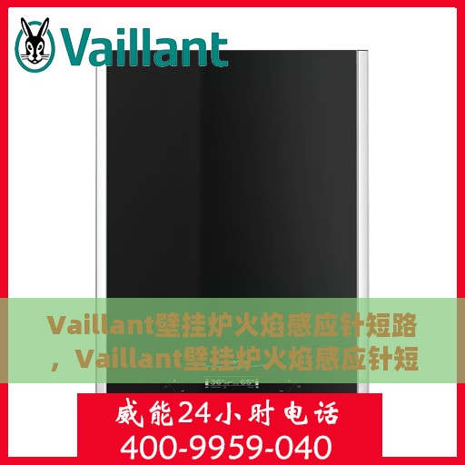 Vaillant壁挂炉火焰感应针短路，Vaillant壁挂炉火焰感应针短路问题解析