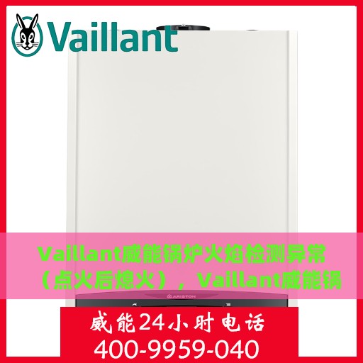 Vaillant威能锅炉火焰检测异常（点火后熄火），Vaillant威能锅炉火焰检测异常，点火后熄火问题解析