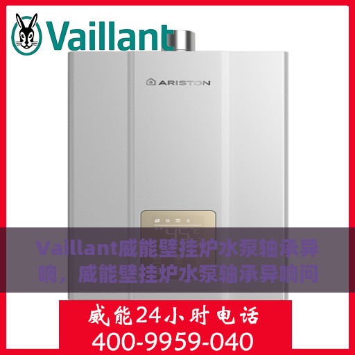 Vaillant威能壁挂炉水泵轴承异响，威能壁挂炉水泵轴承异响问题解析与应对之道