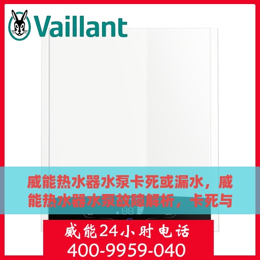 威能热水器水泵卡死或漏水，威能热水器水泵故障解析，卡死与漏水问题探讨