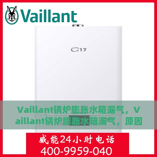 Vaillant锅炉膨胀水箱漏气，Vaillant锅炉膨胀水箱漏气，原因与解决方案探讨