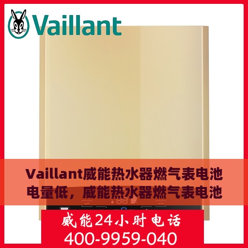 Vaillant威能热水器燃气表电池电量低，威能热水器燃气表电池电量告急，如何快速识别与处理？