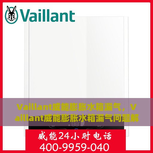 Vaillant威能膨胀水箱漏气，Vaillant威能膨胀水箱漏气问题解析与解决方案