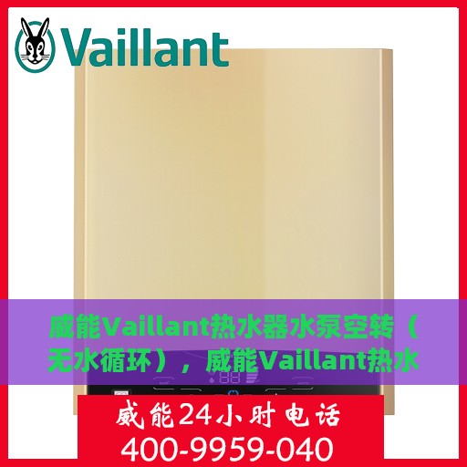 威能Vaillant热水器水泵空转（无水循环），威能Vaillant热水器水泵空转故障解析，无水循环如何应对？