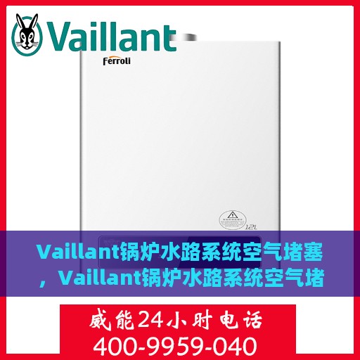 Vaillant锅炉水路系统空气堵塞，Vaillant锅炉水路系统空气堵塞问题解析与解决方案