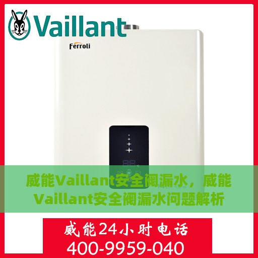 威能Vaillant安全阀漏水，威能Vaillant安全阀漏水问题解析