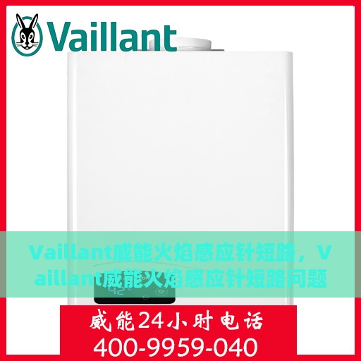 Vaillant威能火焰感应针短路，Vaillant威能火焰感应针短路问题解析与应对之策