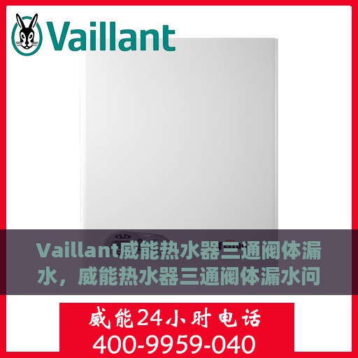 Vaillant威能热水器三通阀体漏水，威能热水器三通阀体漏水问题解析