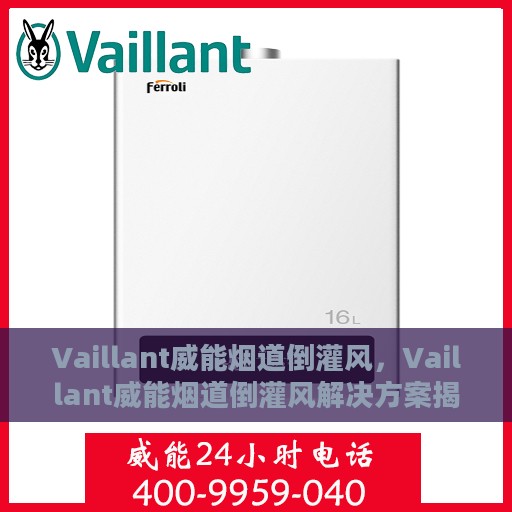 Vaillant威能烟道倒灌风，Vaillant威能烟道倒灌风解决方案揭秘
