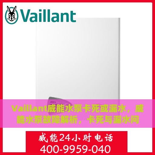 Vaillant威能水泵卡死或漏水，威能水泵故障解析，卡死与漏水问题深度探讨