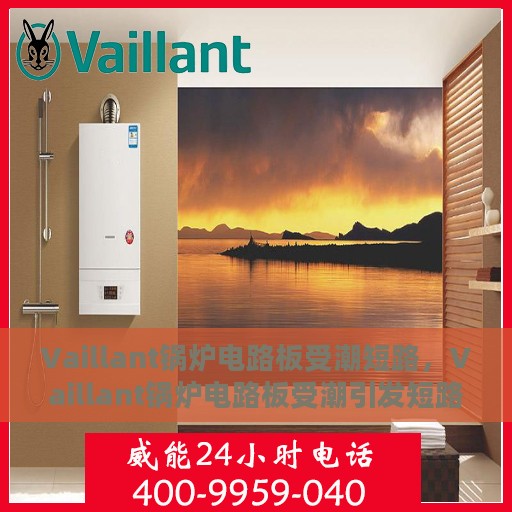 Vaillant锅炉电路板受潮短路，Vaillant锅炉电路板受潮引发短路故障