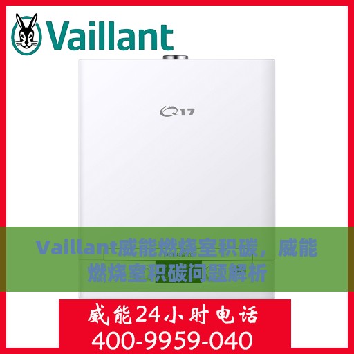 Vaillant威能燃烧室积碳，威能燃烧室积碳问题解析
