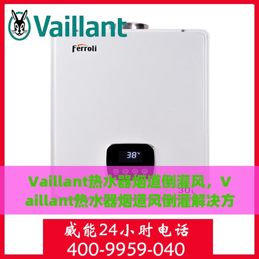 Vaillant热水器烟道倒灌风，Vaillant热水器烟道风倒灌解决方案，应对倒风挑战，确保安全高效运行