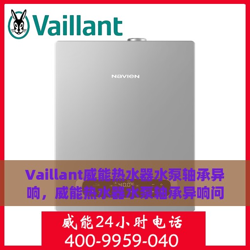 Vaillant威能热水器水泵轴承异响，威能热水器水泵轴承异响问题解析与应对之道