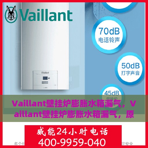 Vaillant壁挂炉膨胀水箱漏气，Vaillant壁挂炉膨胀水箱漏气，原因解析与解决方案