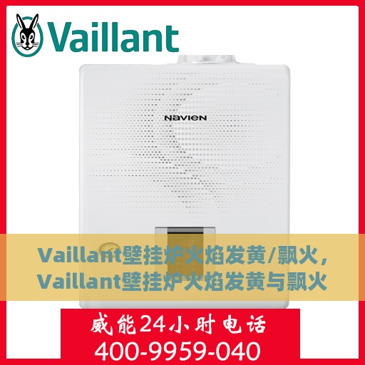 Vaillant壁挂炉火焰发黄/飘火，Vaillant壁挂炉火焰发黄与飘火问题解析