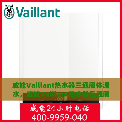 威能Vaillant热水器三通阀体漏水，威能Vaillant热水器三通阀体漏水问题及解决方案探讨