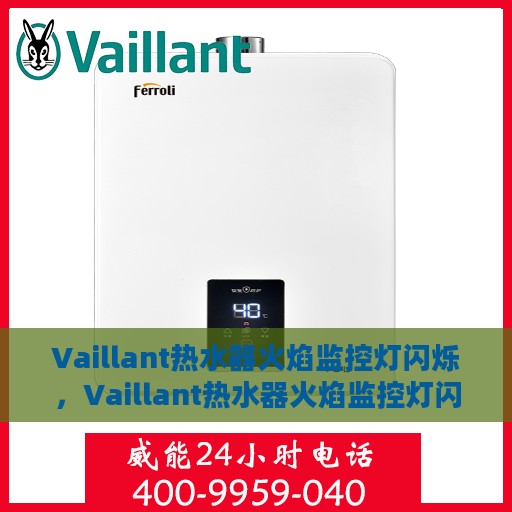 Vaillant热水器火焰监控灯闪烁，Vaillant热水器火焰监控灯闪烁，原因解析与应对之策