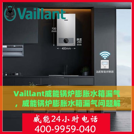 Vaillant威能锅炉膨胀水箱漏气，威能锅炉膨胀水箱漏气问题解析与处理
