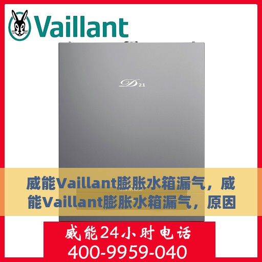威能Vaillant膨胀水箱漏气，威能Vaillant膨胀水箱漏气，原因解析与解决方案