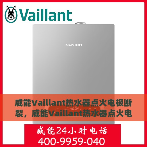 威能Vaillant热水器点火电极断裂，威能Vaillant热水器点火电极断裂故障解析与应对方案