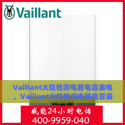 Vaillant火焰检测电路电容漏电，Vaillant火焰检测电路电容漏电问题及解决方案