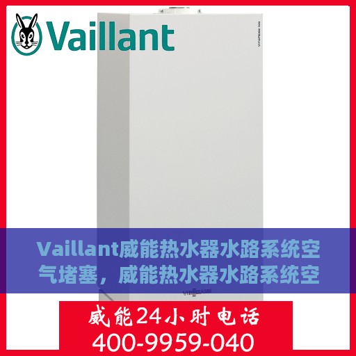 Vaillant威能热水器水路系统空气堵塞，威能热水器水路系统空气堵塞问题解析与解决方案