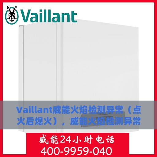 Vaillant威能火焰检测异常（点火后熄火），威能火焰检测异常，点火后意外熄火问题解析
