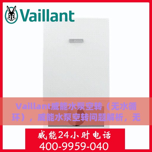 Vaillant威能水泵空转（无水循环），威能水泵空转问题解析，无水循环下的挑战与应对之道