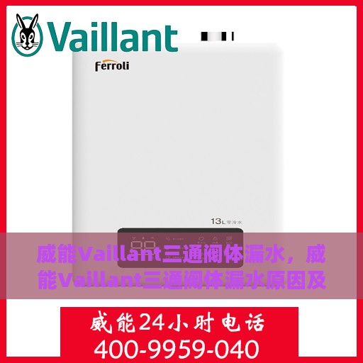 威能Vaillant三通阀体漏水，威能Vaillant三通阀体漏水原因及解决方案探讨