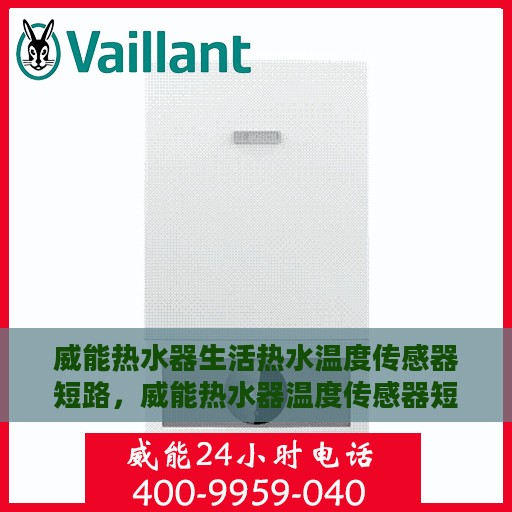 威能热水器生活热水温度传感器短路，威能热水器温度传感器短路故障解析与应对指南