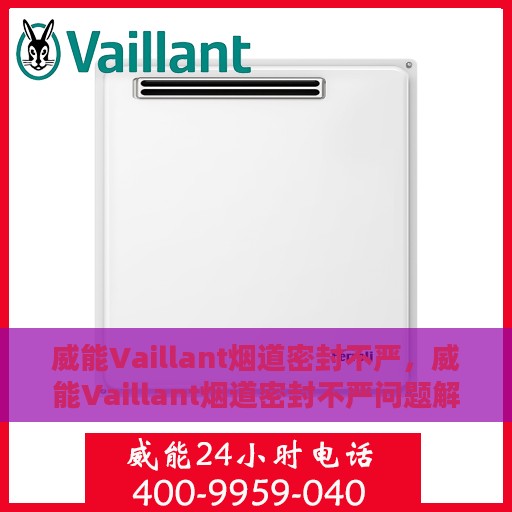 威能Vaillant烟道密封不严，威能Vaillant烟道密封不严问题解析与解决方案探索