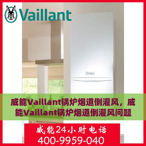 威能Vaillant锅炉烟道倒灌风，威能Vaillant锅炉烟道倒灌风问题及应对之策