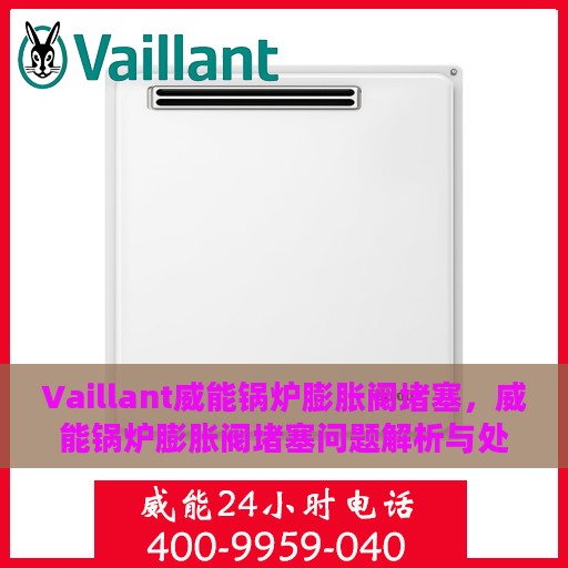 Vaillant威能锅炉膨胀阀堵塞，威能锅炉膨胀阀堵塞问题解析与处理方案