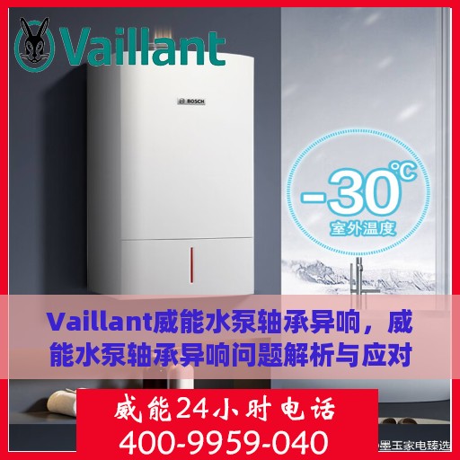 Vaillant威能水泵轴承异响，威能水泵轴承异响问题解析与应对方案