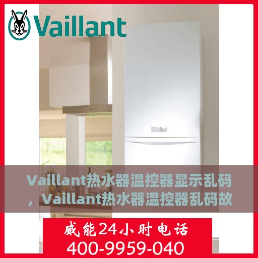 Vaillant热水器温控器显示乱码，Vaillant热水器温控器乱码故障解析与解决方案
