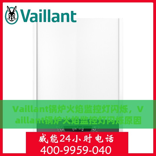 Vaillant锅炉火焰监控灯闪烁，Vaillant锅炉火焰监控灯闪烁原因解析与应对方案