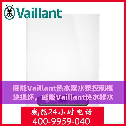 威能Vaillant热水器水泵控制模块损坏，威能Vaillant热水器水泵控制模块故障解析与修复指南